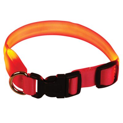 Animal Treasures LED Dog Collar - Orange