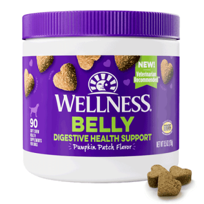 Wellness Supplements Belly Digestive Health Support Pumpkin Patch Flavor Soft Chews for Dogs