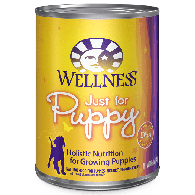 Wellness Complete Health Just for Puppy Formula Canned Dog Food-12 x 12.5oz