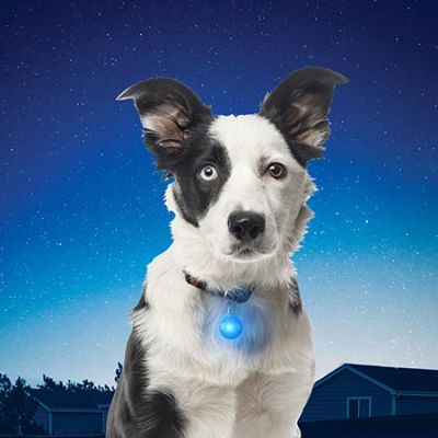 Nite Ize SpotLit - LED Pet Collar Light