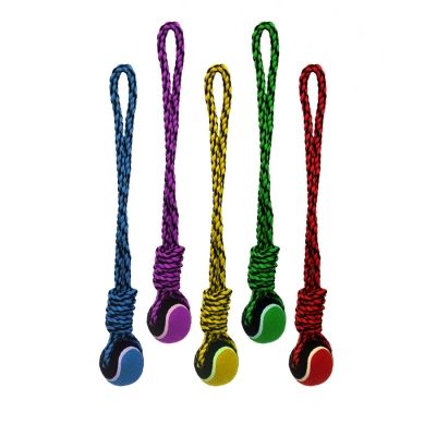 Multipet's Nuts for Knots Rope Tug with Tennis Ball Rope Dog Toy - Assorted Color