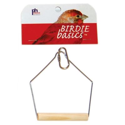 Prevue Hendryx Birdie Basics Bird Swing
