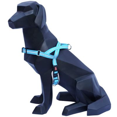 Wigzi Weatherproof Dog Harness