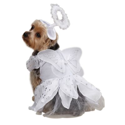 Casual Canine Angel Paws Costume