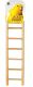 Prevue Hendryx Birdie Basics Bird Ladder