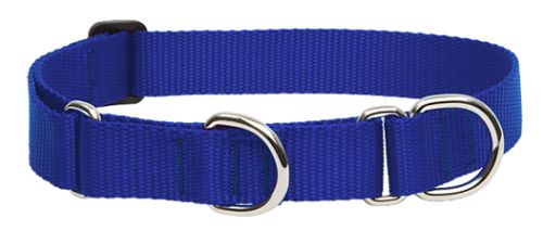 Lupine Basics Martingale Combo Dog Collar - Blue