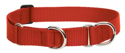 Lupine Basics Martingale Combo Dog Collar - Red
