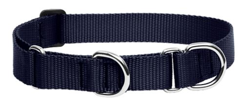 Lupine Basics Martingale Combo Dog Collar - Black