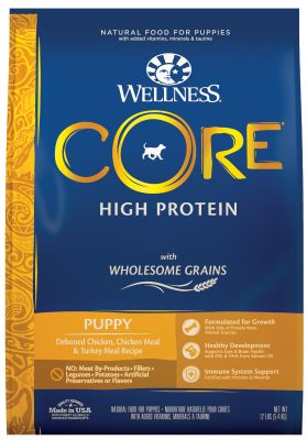 Wellness CORE Wholesome Grains Puppy Dry Dog Food 