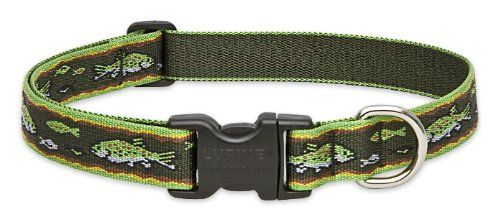 Lupine Originals Pattern Adjustable Dog Collar - Brook Trout