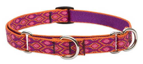 Lupine Originals Martingale Combo Dog Collar - Alpen Glow