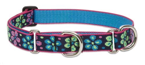 Lupine Originals Martingale Combo Dog Collar - Flower Power