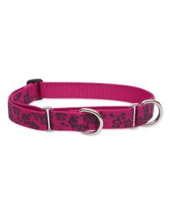 Lupine Originals Martingale Combo Dog Collar - Plum Blossom