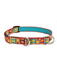 Lupine Originals Martingale Combo Dog Collar - Crazy Daizy