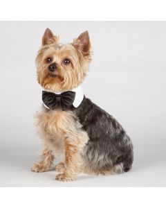 Aria Canine Royale Bowties