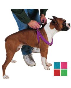 Guardian Gear Nylon 2-Step Dog Harnesses - Brite Color