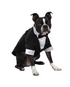 East Side Yappily Ever After Dog Groom Tuxedos