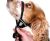 The Company Of Animals Halti OptiFit Head Collar