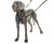 The Company Of Animals Non-Pull Dog Harness