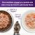 Wellness Bowl Boosters Flaked Tuna and Shrimp Recipe in Broth Wet Cat Food Topper- 12x1.75oz