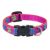 Lupine Originals Pattern Adjustable Cat Safety Collar - Wing It