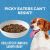 KOHA Minimal Ingredient Lamb Stew Canned Dog Food - 12 x 12.7oz