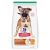 Hill's Science Diet Puppy Large Breed Chicken & Brown Rice Recipe Dry Dog Food