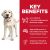 Hill's Science Diet Adult Large Breed Light Dry Dog Food 30lb