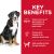 Hill's Science Diet Adult Large Breed Lamb Meal & Brown Rice Recipe Dry Dog Food 33lb