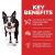 Hill's Science Diet Adult Light Small Bites Dry Dog Food
