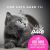 Tiki Cat Silver Pate Chicken Recipe In Broth Canned Cat Food - 12x2.4oz