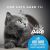 Tiki Cat Silver Pate Chicken, Duck and Duck Liver Recipe In Broth Canned Cat Food - 12x2.4oz