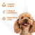 Espree Wavy Curly Coat 2-in-1 Shampoo & Conditioner for Dogs - 20oz