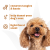Espree Wavy Curly Coat Detangling Spray for Dogs - 12oz