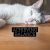 Fussie Cat Premium Tuna With Salmon Recipe In Aspic Canned Cat Food - 24 x 2.82oz
