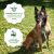 Greenies Smart Essentials Sensitive Digestion & Skin Adult Lamb & Brown Rice Recipe Dry Dog Food