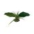Komodo Woodland Canopy 10" Decorative Plant