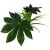 Komodo Jungle Canopy 10" Decorative Plant