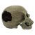 Komodo Human Skull Full Habitat Decoration