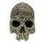 Komodo Human Skull Textured Habitat Decoration