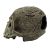 Komodo Human Skull Textured Habitat Decoration