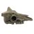 Komodo Deer Skull Habitat Decoration