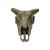 Komodo Deer Skull Habitat Decoration