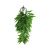 Komodo Bamboo Climbing Plant Small Plant Decoration