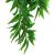 Komodo Bamboo Climbing Plant Small Plant Decoration