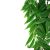 Komodo Bamboo Climbing Plant Small Plant Decoration