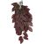 Komodo Zebrina Climbing Plant Plant Decoration