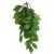 Komodo Green Leaf Climbing Plant Plant Decoration