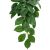 Komodo Green Leaf Climbing Plant Plant Decoration