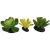 Komodo Succulents Yellow/Green Plant Decorations (3pk)